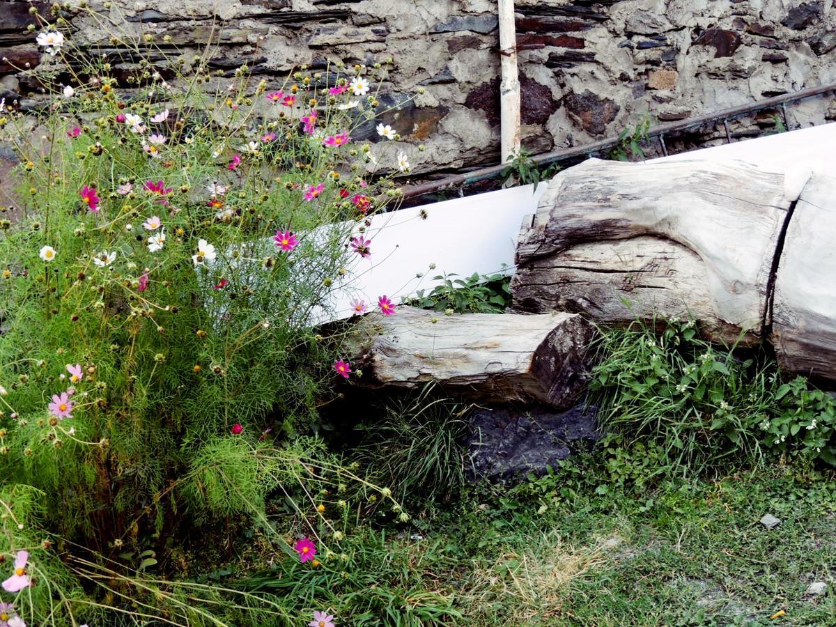 Nino Khetaguri Guest House Kazbegi Exterior foto